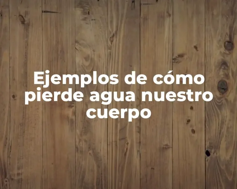 Ejemplos de cómo pierde agua nuestro cuerpo