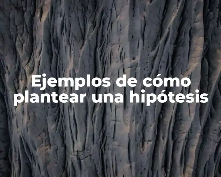 Ejemplos de cómo plantear una hipótesis