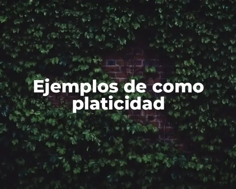 Ejemplos de como platicidad