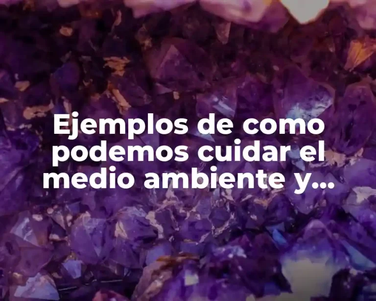 Ejemplos de como podemos cuidar el medio ambiente y Significado