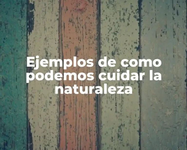 Ejemplos de como podemos cuidar la naturaleza