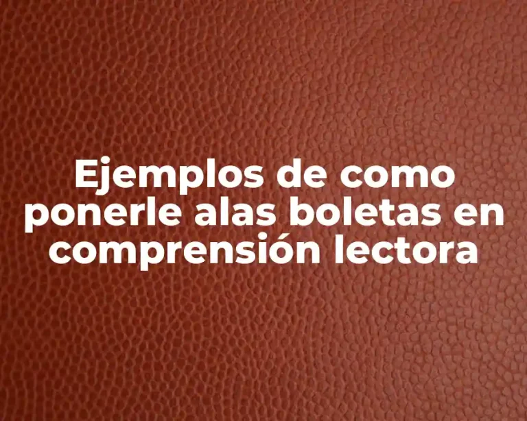 Ejemplos de como ponerle alas boletas en comprensión lectora