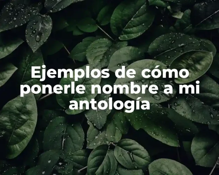 Ejemplos de cómo ponerle nombre a mi antología