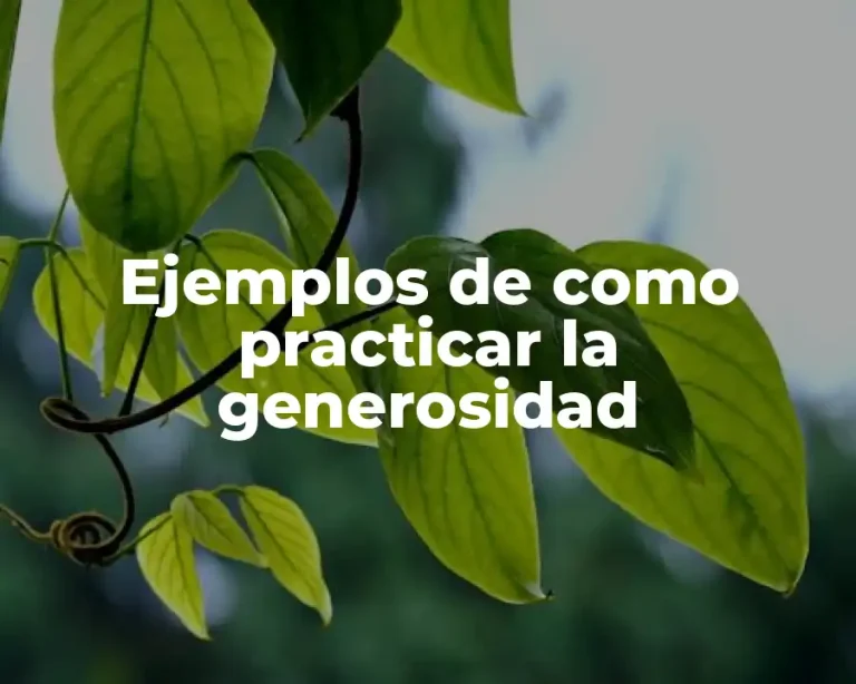 Ejemplos de como practicar la generosidad