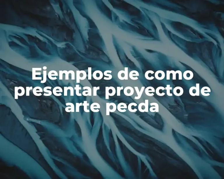 Ejemplos de como presentar proyecto de arte pecda