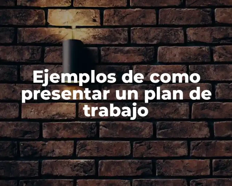 Ejemplos de como presentar un plan de trabajo