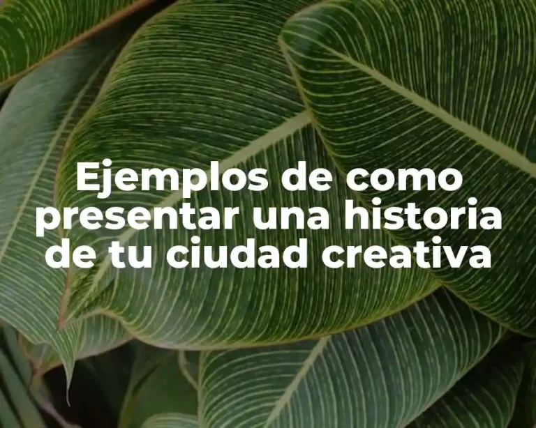 Ejemplos de como presentar una historia de tu ciudad creativa