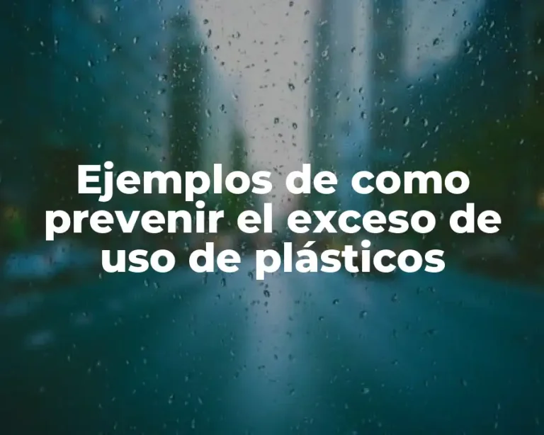 Ejemplos de como prevenir el exceso de uso de plásticos