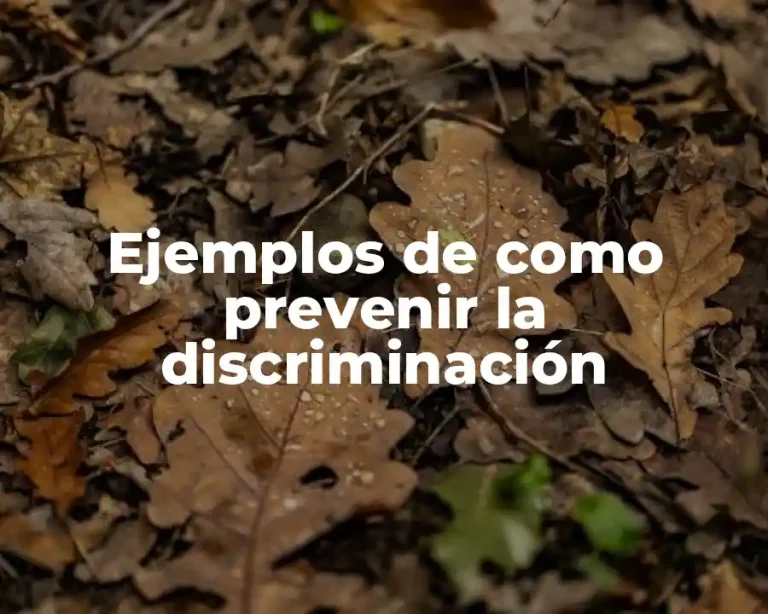 Ejemplos de como prevenir la discriminación