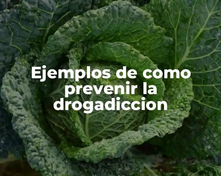Ejemplos de como prevenir la drogadiccion