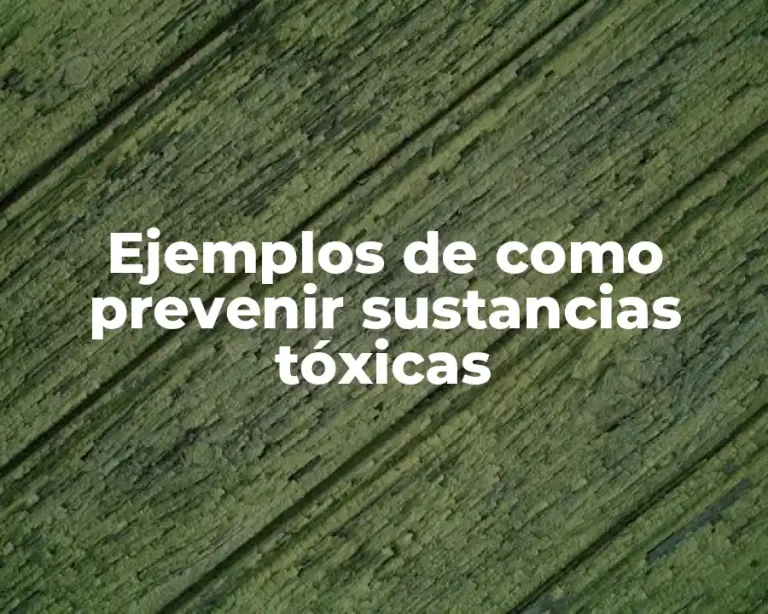 Ejemplos de como prevenir sustancias tóxicas