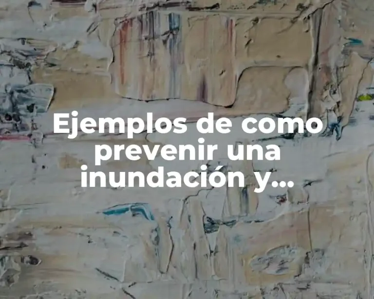 Ejemplos de como prevenir una inundación y Significado