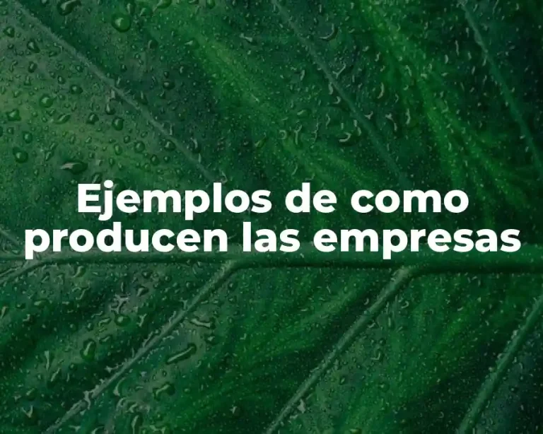 Ejemplos de como producen las empresas