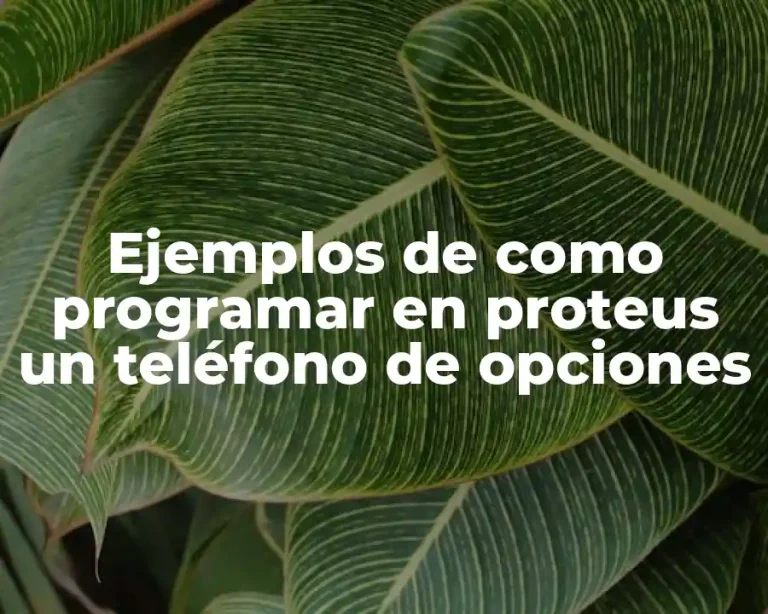 Ejemplos de como programar en proteus un teléfono de opciones