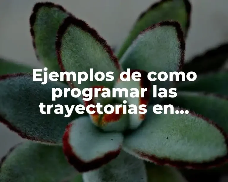 Ejemplos de como programar las trayectorias en diferentes lenguajes