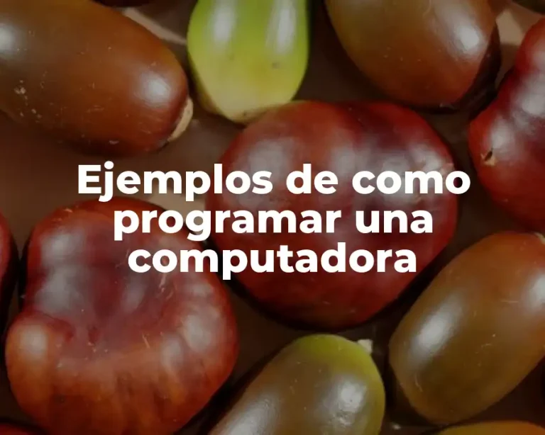 Ejemplos de como programar una computadora