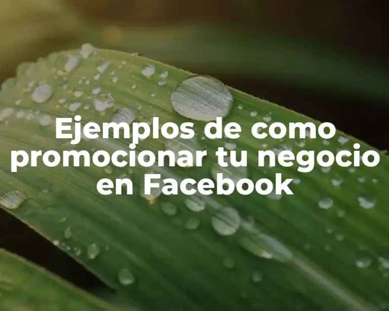Ejemplos de como promocionar tu negocio en Facebook