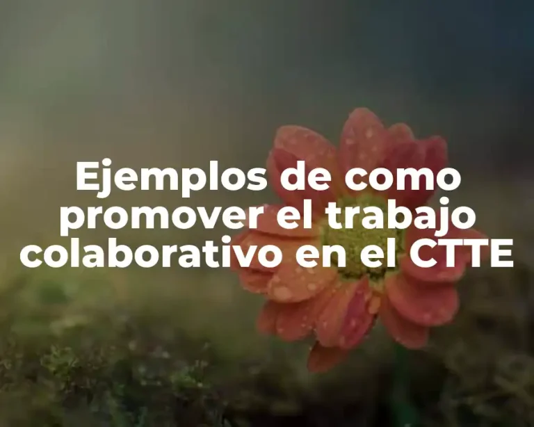 Ejemplos de como promover el trabajo colaborativo en el CTTE