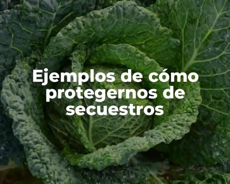 Ejemplos de cómo protegernos de secuestros
