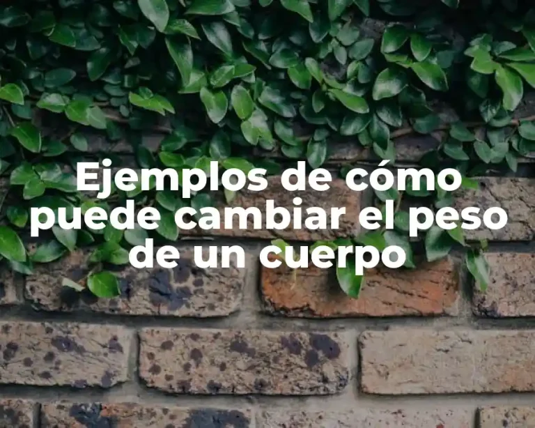 Ejemplos de cómo puede cambiar el peso de un cuerpo
