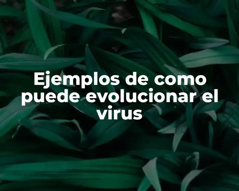 Ejemplos de como puede evolucionar el virus