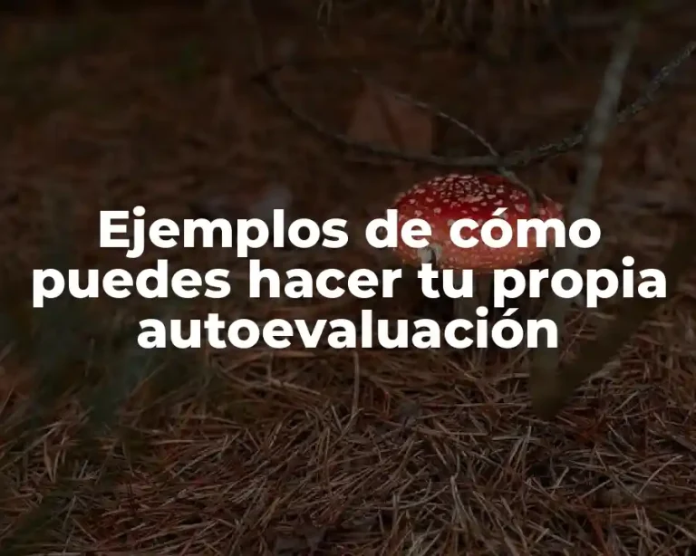 Ejemplos de cómo puedes hacer tu propia autoevaluación
