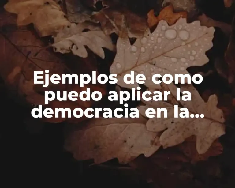 Ejemplos de como puedo aplicar la democracia en la escuela