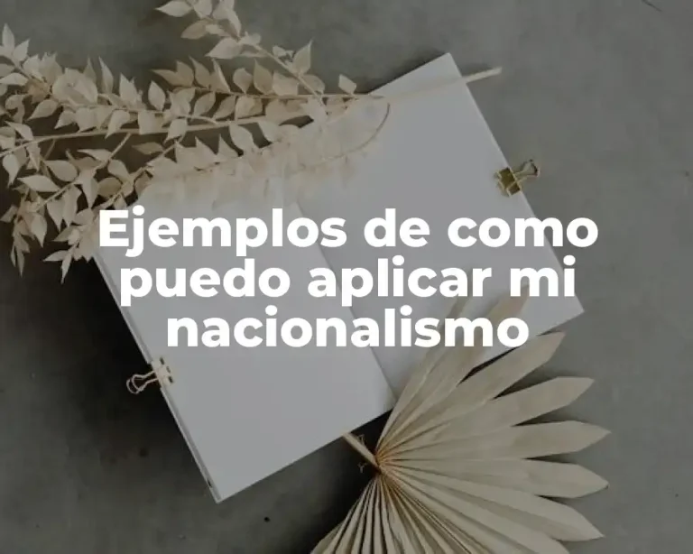 Ejemplos de como puedo aplicar mi nacionalismo