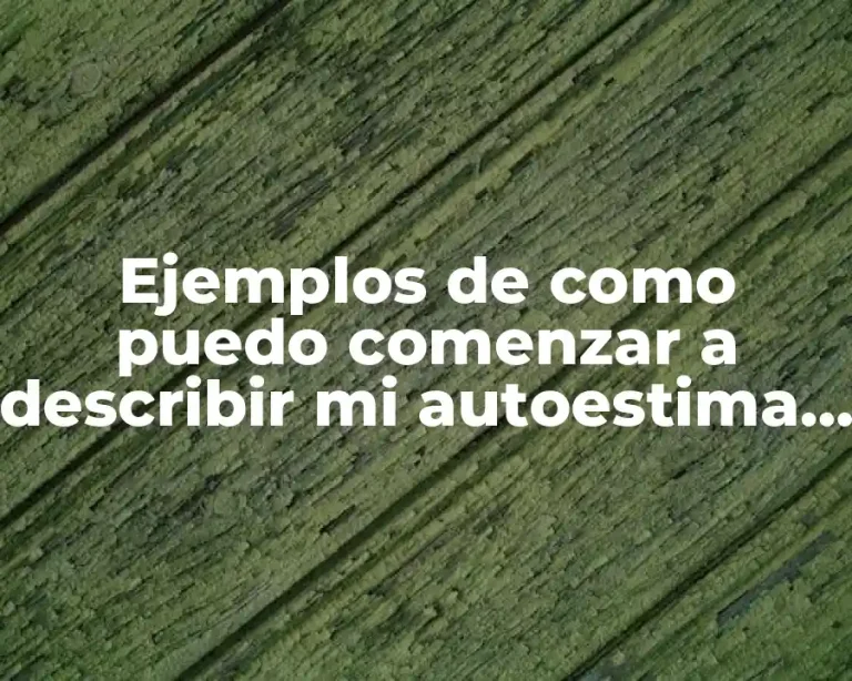 Ejemplos de como puedo comenzar a describir mi autoestima y Significado