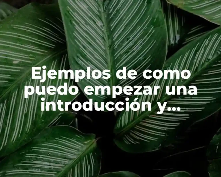 Ejemplos de como puedo empezar una introducción y Significado