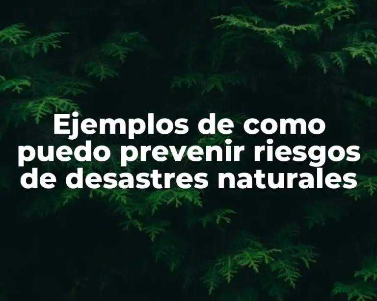 Ejemplos de como puedo prevenir riesgos de desastres naturales