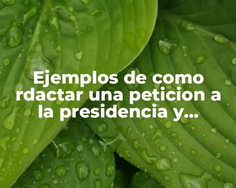 Ejemplos de como rdactar una peticion a la presidencia y Significado