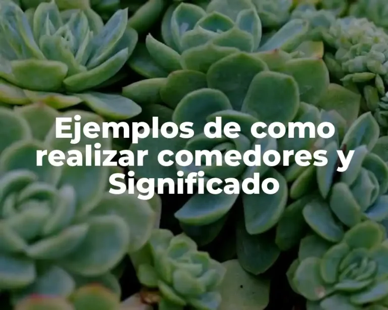 Ejemplos de como realizar comedores y Significado