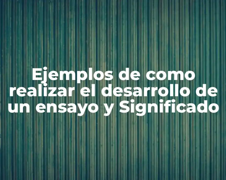 Ejemplos de como realizar el desarrollo de un ensayo y Significado
