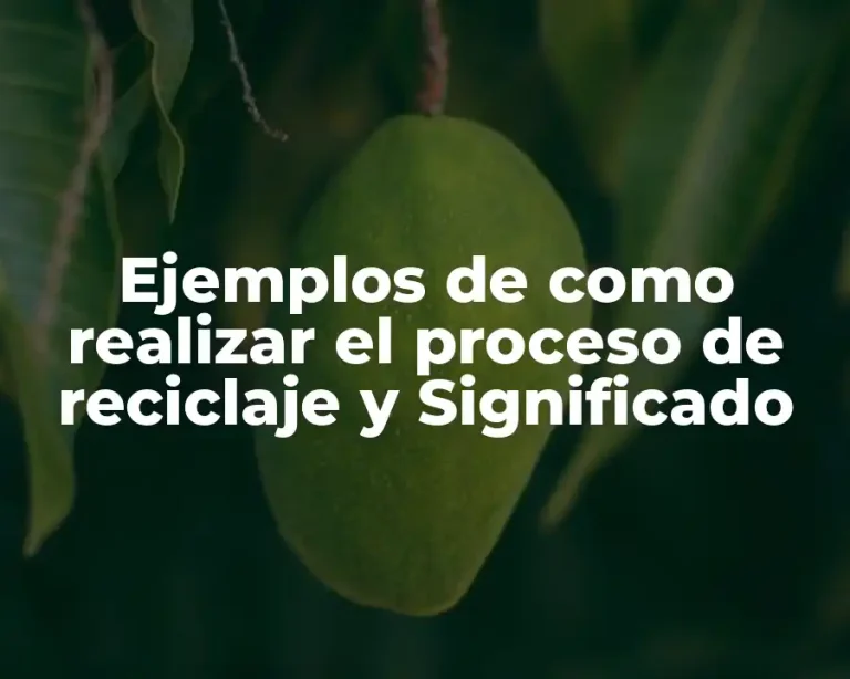 Ejemplos de como realizar el proceso de reciclaje y Significado