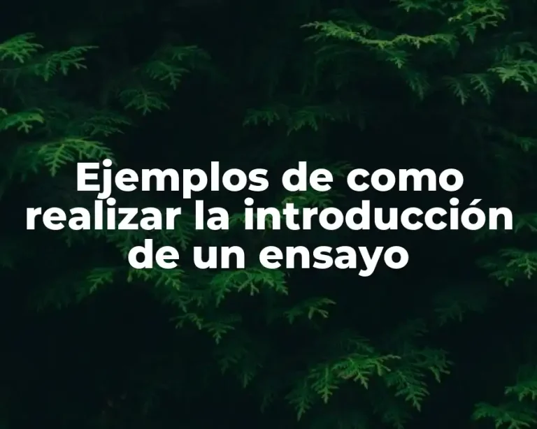Ejemplos de como realizar la introducción de un ensayo