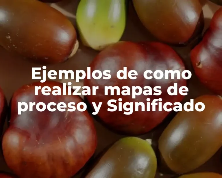 Ejemplos de como realizar mapas de proceso y Significado