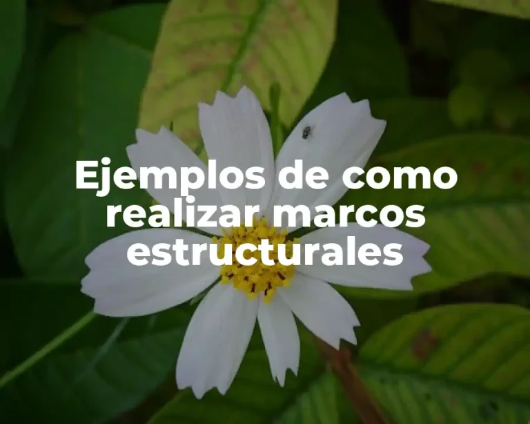 Ejemplos de como realizar marcos estructurales