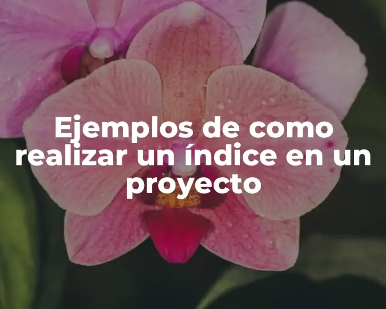 Ejemplos de como realizar un índice en un proyecto