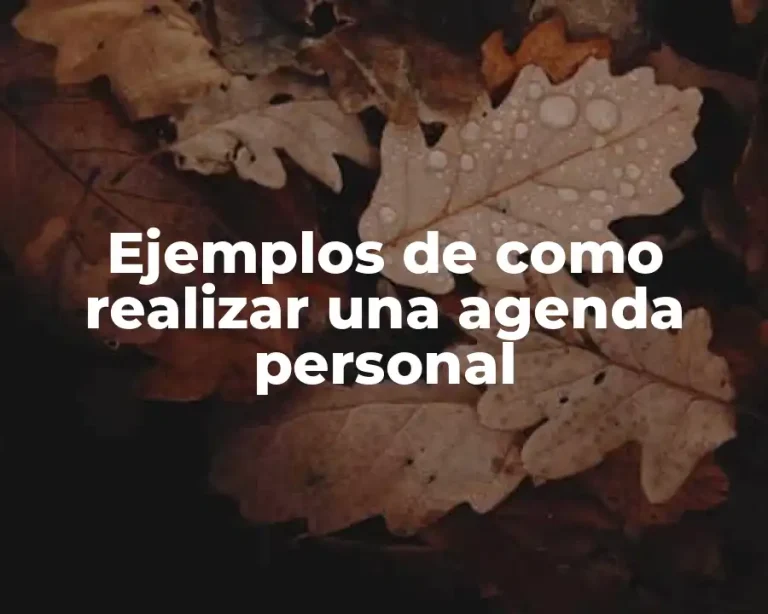 Ejemplos de como realizar una agenda personal