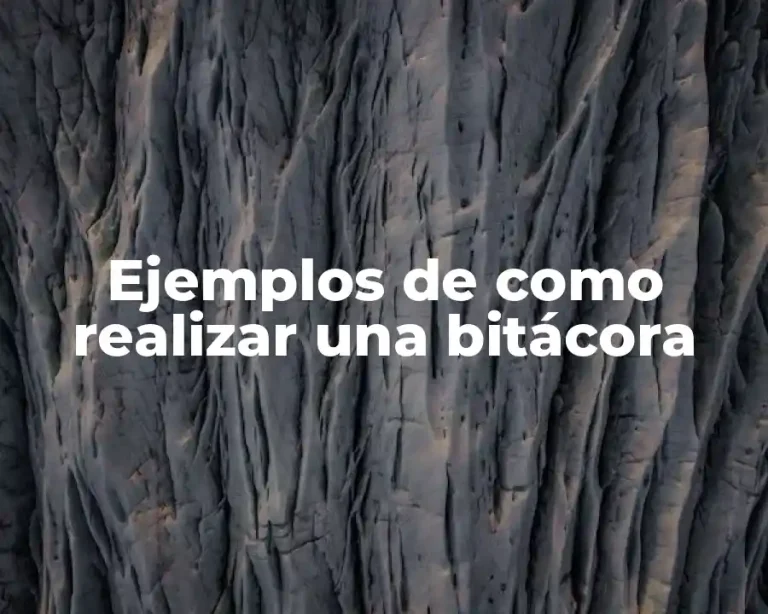 Ejemplos de como realizar una bitácora