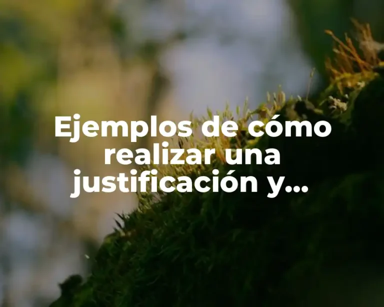 Ejemplos de cómo realizar una justificación y Significado