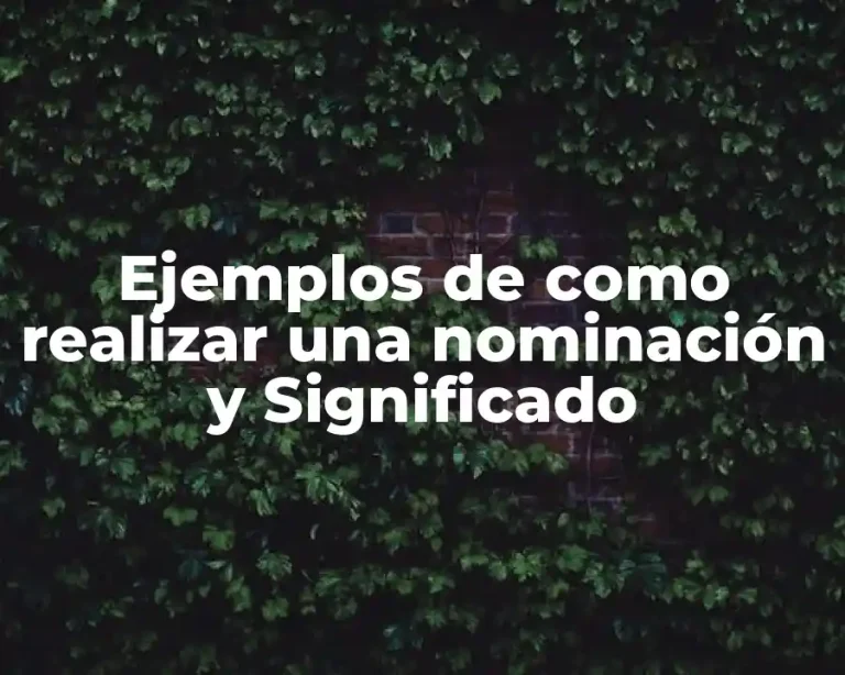 Ejemplos de como realizar una nominación y Significado