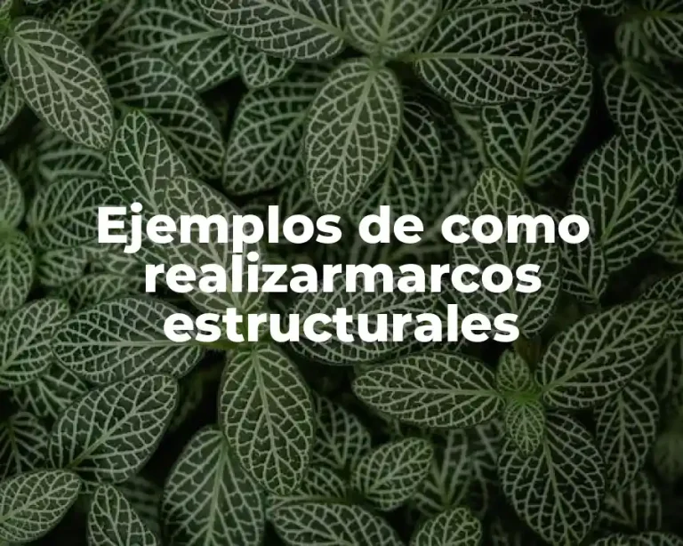 Ejemplos de como realizarmarcos estructurales
