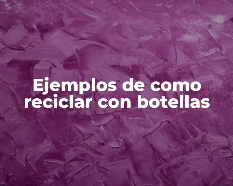 Ejemplos de como reciclar con botellas