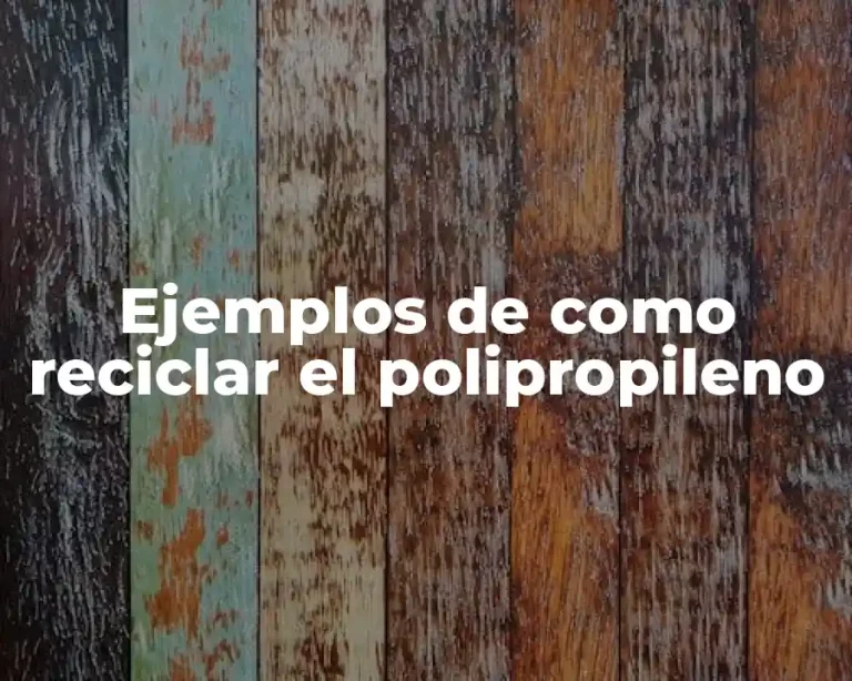 Ejemplos de como reciclar el polipropileno
