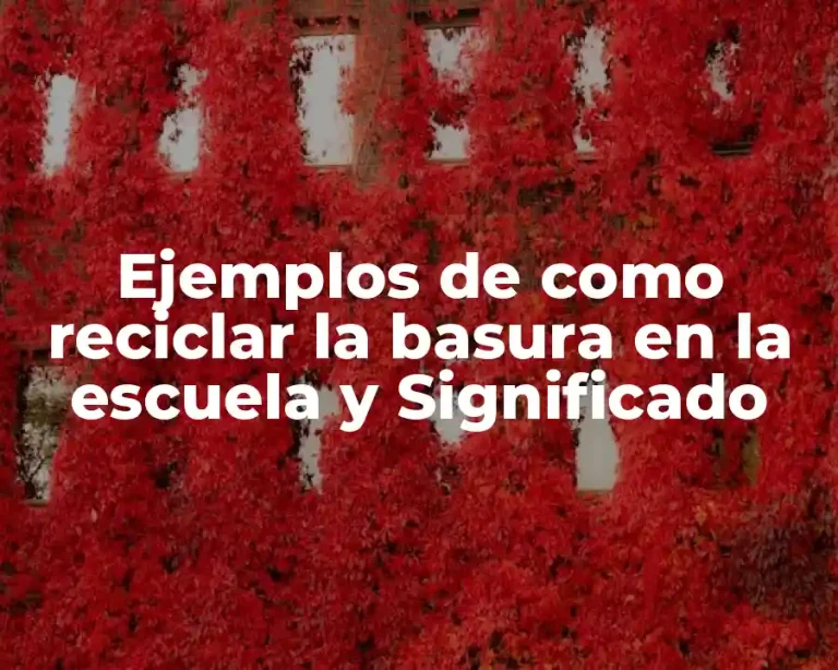 Ejemplos de como reciclar la basura en la escuela y Significado