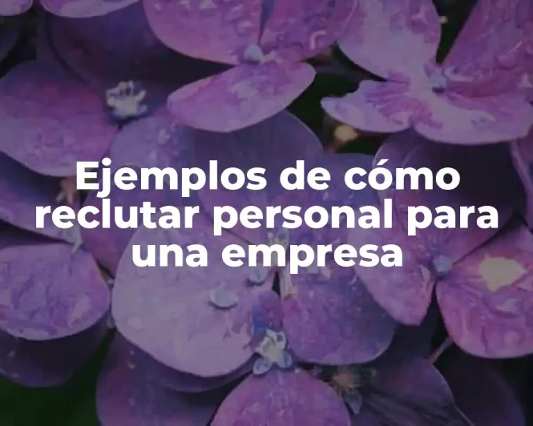 Ejemplos de cómo reclutar personal para una empresa