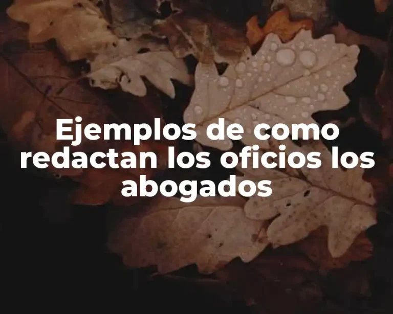 Ejemplos de como redactan los oficios los abogados