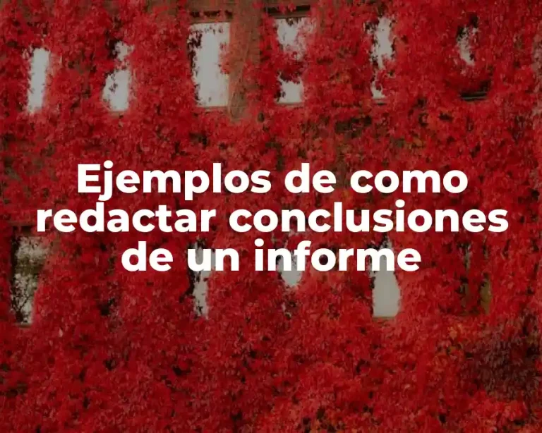 Ejemplos de como redactar conclusiones de un informe
